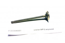 Клапан впускной WP12