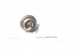 Термостат WP10 79&deg;С